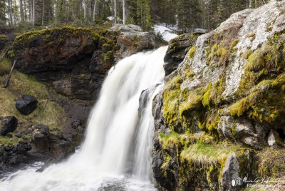 Moose Falls YNP May 2025